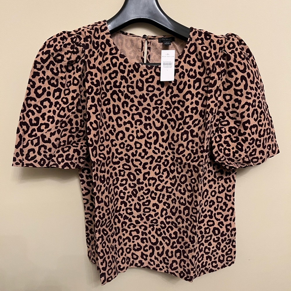 Ann Taylor corduroy top
